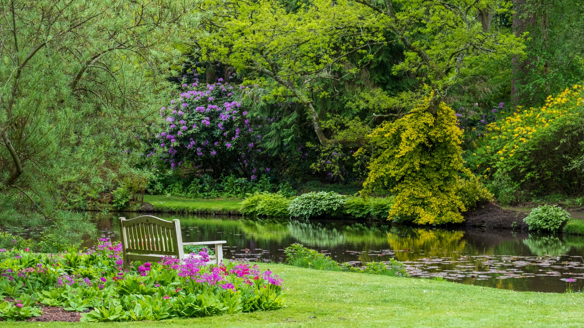 River Test in Hampshire surrounded by vibrant flowers, lush greenery, and a bench for enjoying the peaceful view.